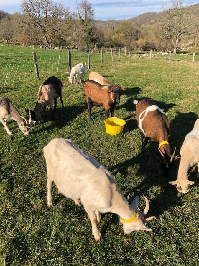 Gite A La Ferme Montesquieu-Avantes Buitenkant foto